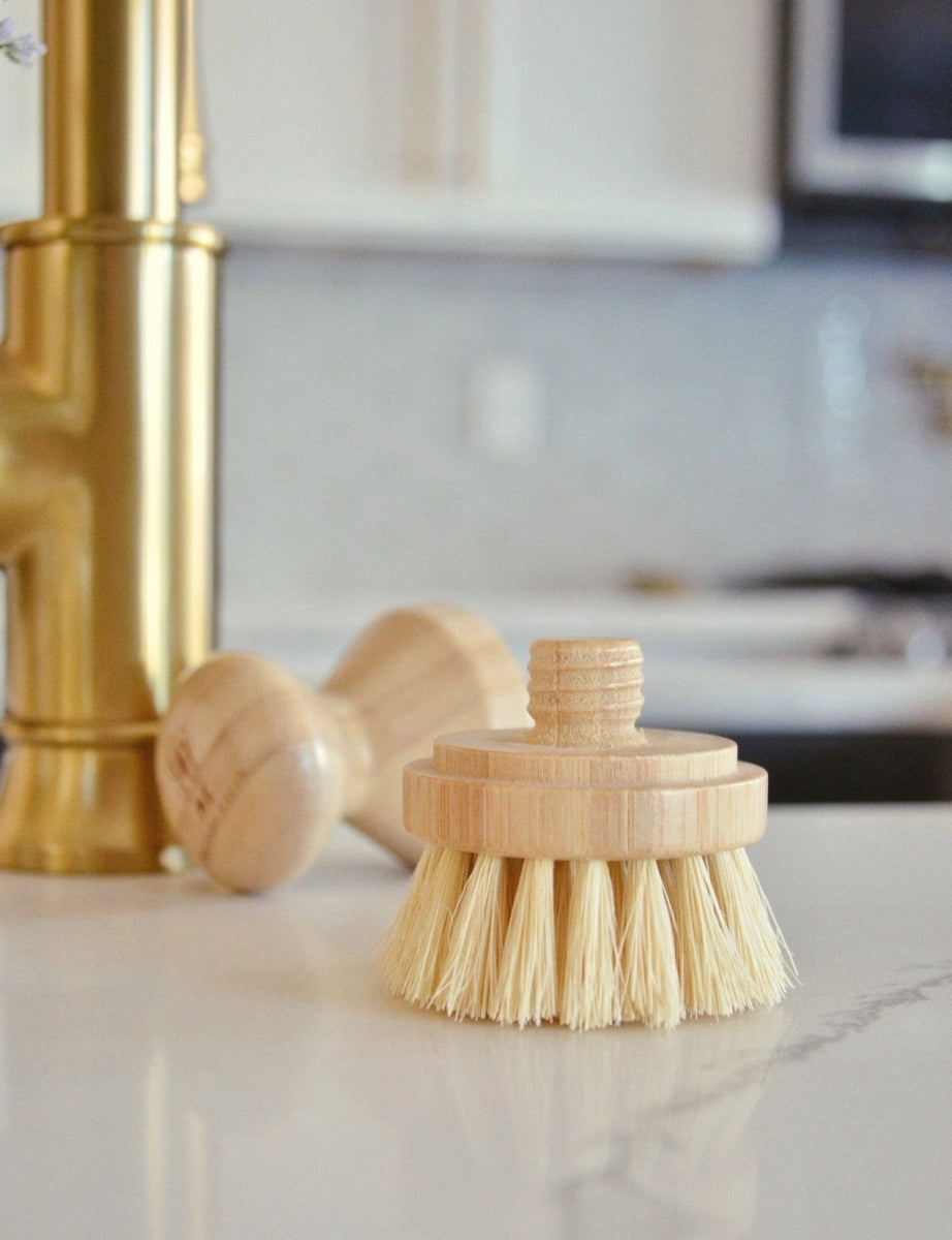 Humble Suds Casa Agave Dishwashing and Vegetable Brush - Thumbnail 2