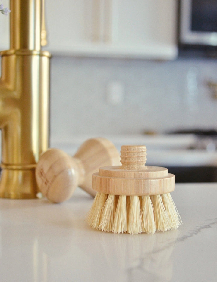 Casa Agave™ Dishwashing and Vegetable Hand Brush - Humble Suds