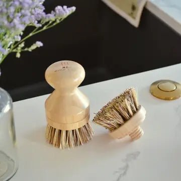 CASA AGAVE™ Pot Scrubber Brush - Humble Suds
